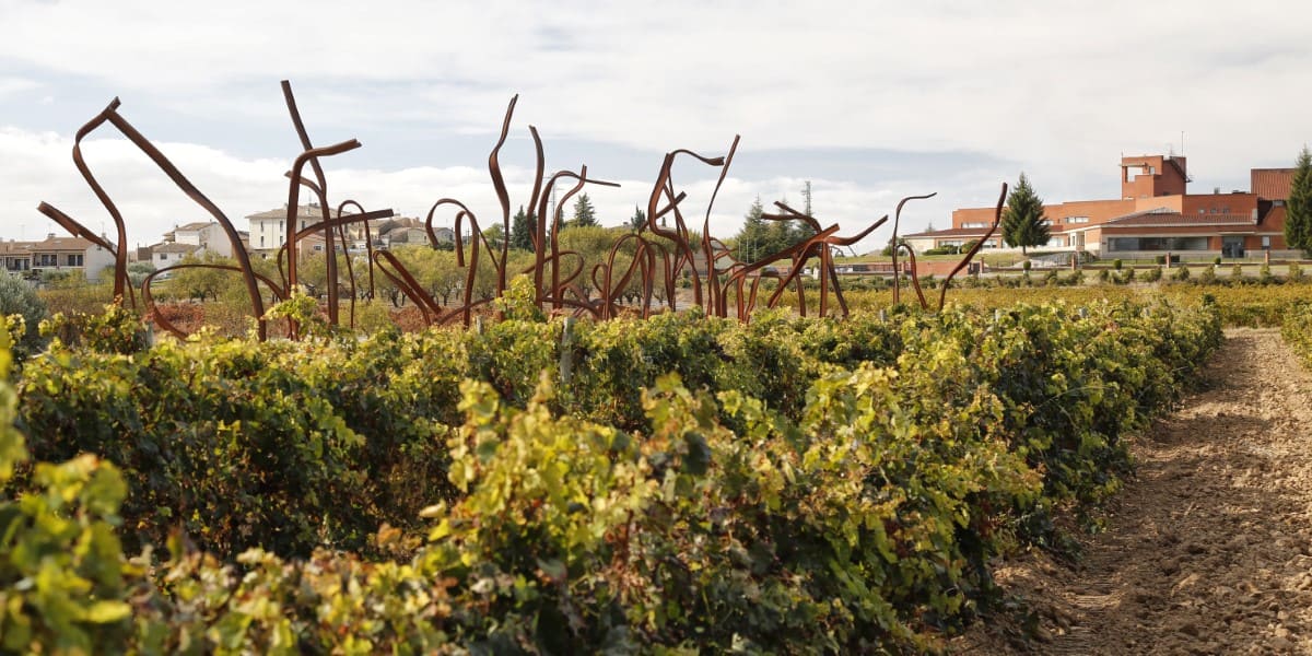 Ruta del Vino